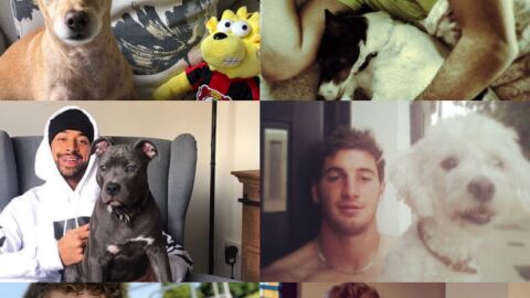 Los animales del Bayer con sus mascotas. 