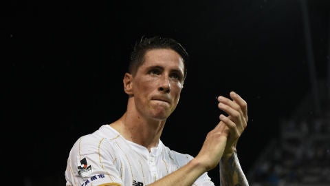 Fernando Torres