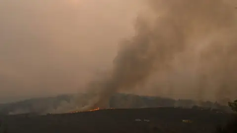 Fotografía que muestra el paisaje afectado por un incendio forestal Fotografía que muestra el paisaje afectado por un incendio forestal