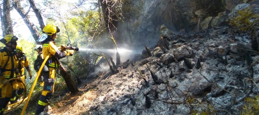 Los bomberos participan en las tareas de extinción del incendio forestal de Cala Estellencs (Mallorca). Los bomberos participan en las tareas de extinción del incendio forestal de Cala Estellencs (Mallorca).
