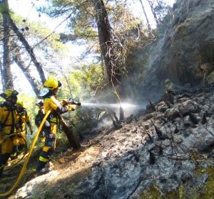 Los bomberos participan en las tareas de extinción del incendio forestal de Cala Estellencs (Mallorca). Los bomberos participan en las tareas de extinción del incendio forestal de Cala Estellencs (Mallorca).