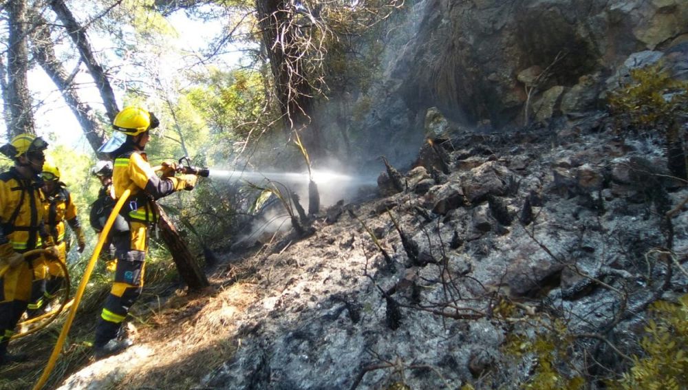 Los bomberos participan en las tareas de extinción del incendio forestal de Cala Estellencs (Mallorca).