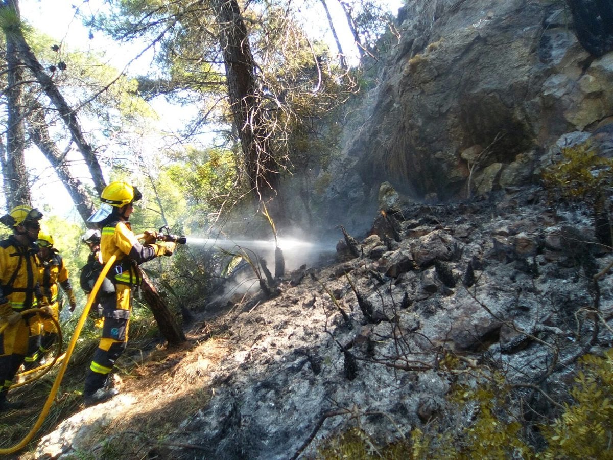 Los incendios forestales queman 6,02 hectáreas en Baleares en lo que va de año Los incendios forestales queman 6,02 hectáreas en Baleares en lo que va de año