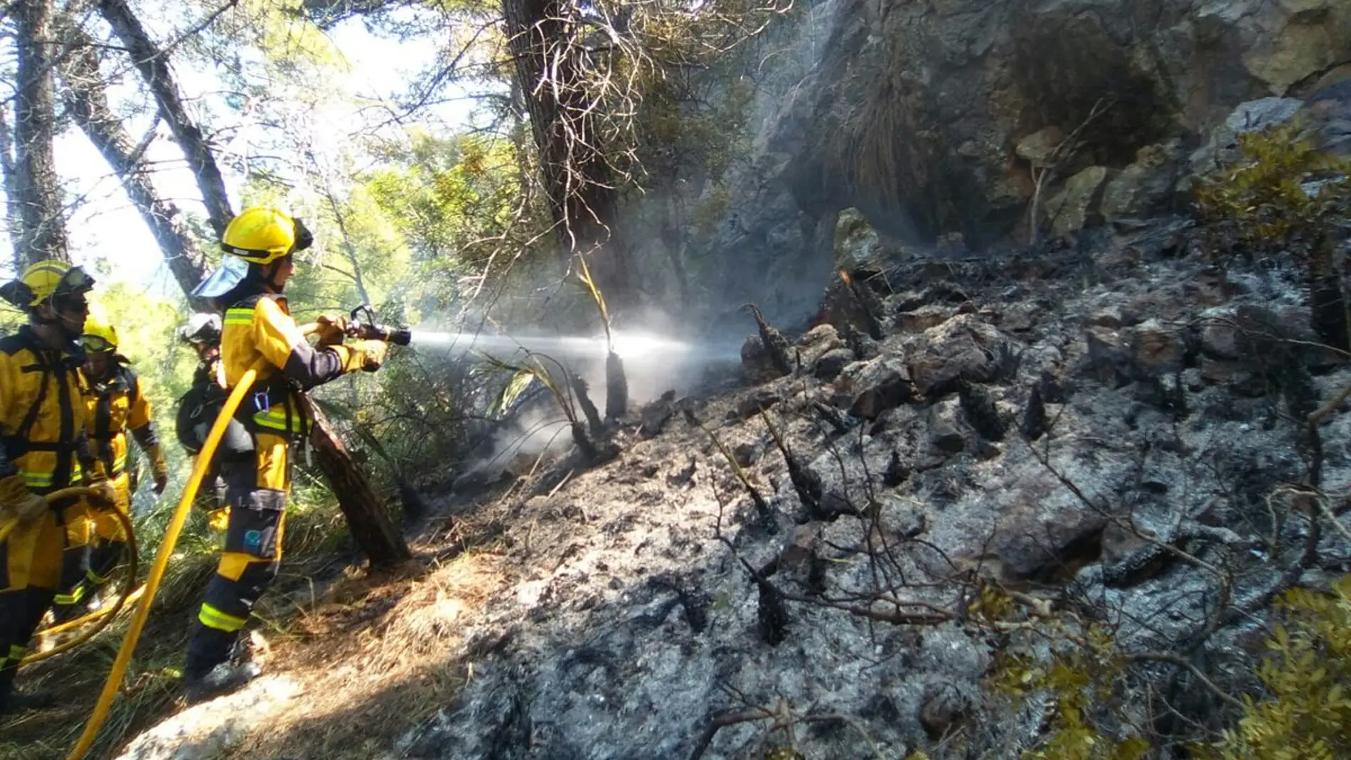 Los bomberos participan en las tareas de extinción del incendio forestal de Cala Estellencs (Mallorca).