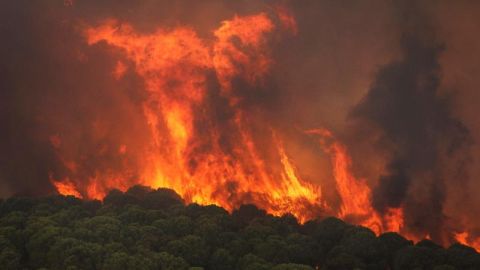 Activado el nivel 1 de Emergencias por un incendio forestal declarado en Nerva