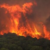 Activado el nivel 1 de Emergencias por un incendio forestal declarado en Nerva