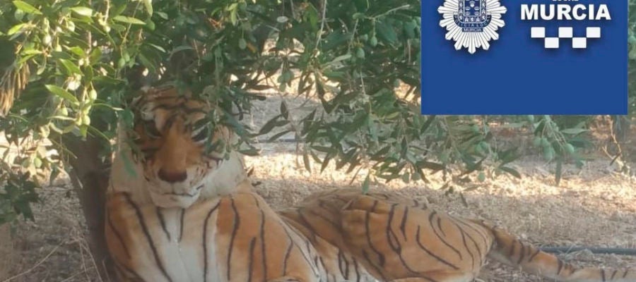 Tigre de peluche Tigre de peluche