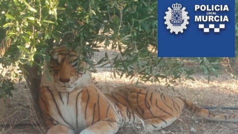 Tigre de peluche