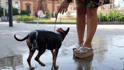 Noticias Fin de Semana (04-08-18) Ola de calor: riesgo extremo en C&oacute;rdoba y Badajoz con temperaturas m&aacute;ximas de 45 grados y 37 provincias m&aacute;s en alerta