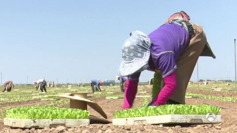 TRABAJADORES CALOR