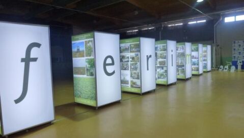 FERIMEL dur&oacute; tres d&iacute;as y finaliz&oacute; el pasado s&aacute;bado