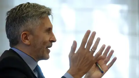 Fernando Grande-Marlaska Fernando Grande-Marlaska