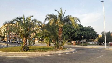 Rotonda en el barrio El Toscar de Elche