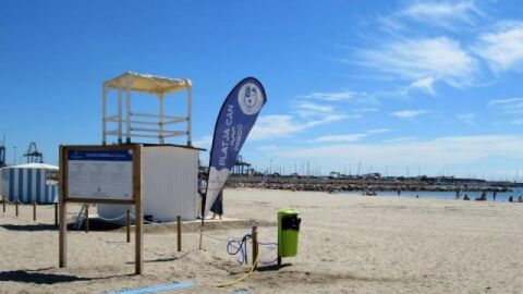 una zona de la playa de Pinedo facilitada por el Ayuntamiento de Valencia.