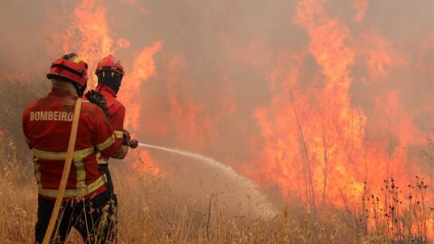 bomberos portugueses