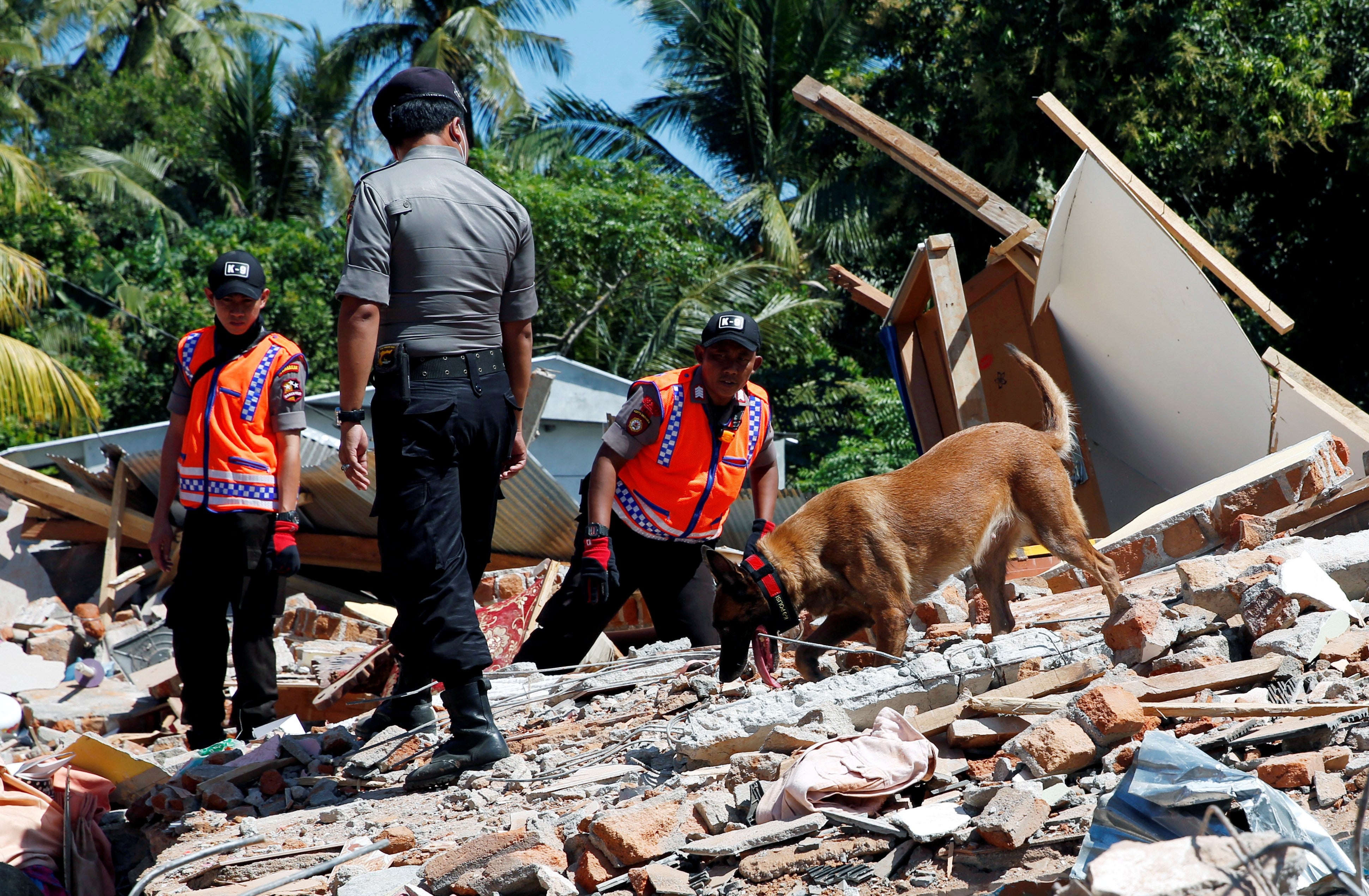 Aumentan a 131 las víctimas mortales por el terremoto en Indonesia Aumentan a 131 las víctimas mortales por el terremoto en Indonesia