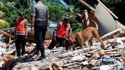 El servicio de rescate de Indonesia buscando v&iacute;ctimas