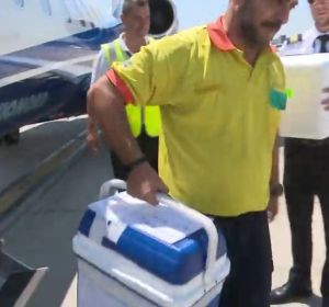 España e Italia protagonizan el primer trasplante renal cruzado internacional del sur de Europa España e Italia protagonizan el primer trasplante renal cruzado internacional del sur de Europa