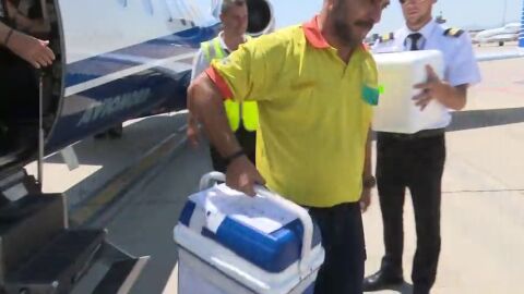 Espa&ntilde;a e Italia protagonizan el primer trasplante renal cruzado internacional del sur de Europa