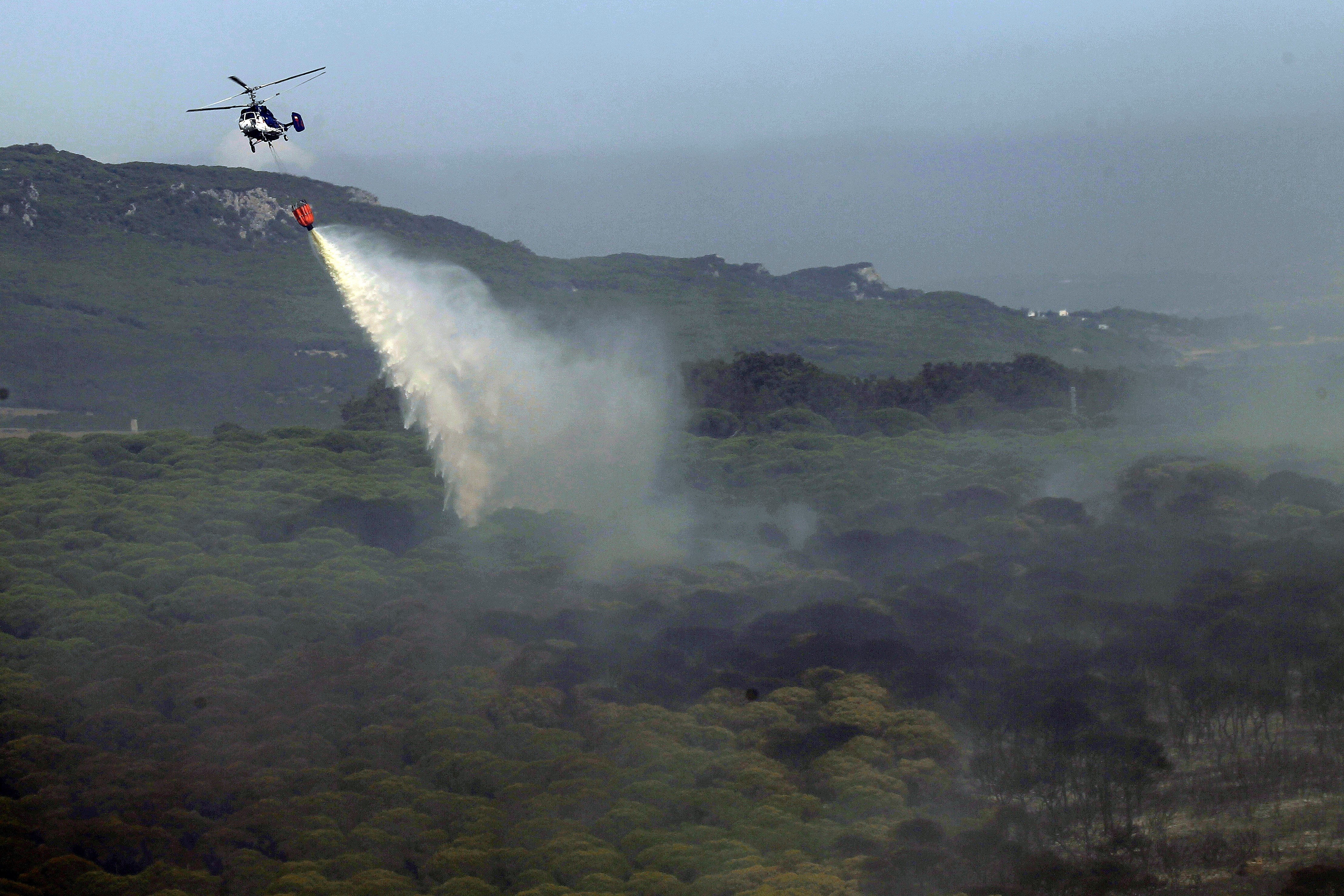 Estabilizado el incendio de Tarifa, que ha afectado a unas 150 hectáreas Estabilizado el incendio de Tarifa, que ha afectado a unas 150 hectáreas