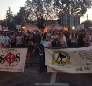 Los antitaurinos se han concentrado frente a la Plaza de Toros de C.Real Los antitaurinos se han concentrado frente a la Plaza de Toros de C.Real