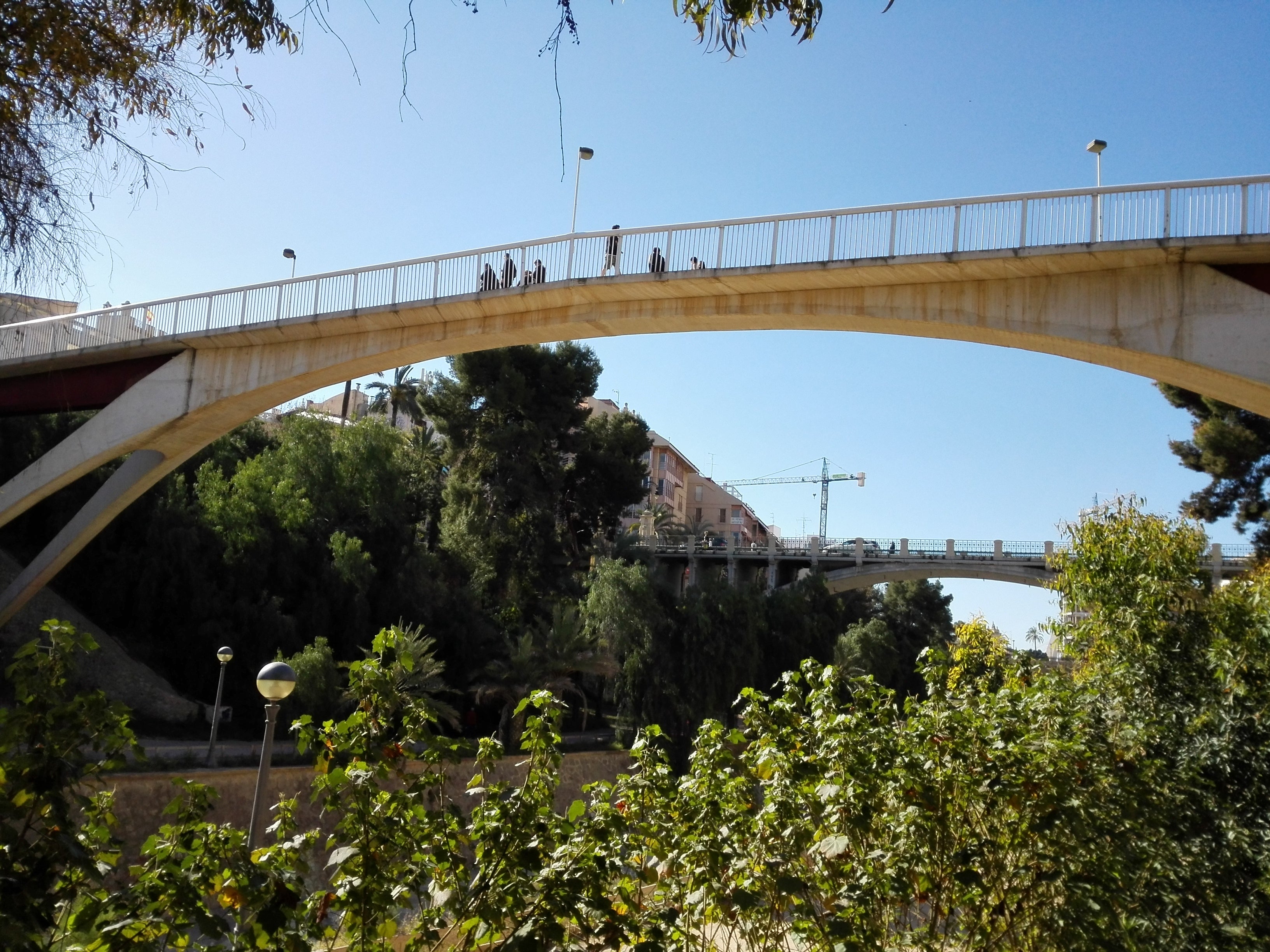 Cielo despejado y soleado durante el lunes en Elche Cielo despejado y soleado durante el lunes en Elche