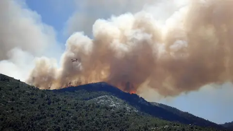 2018 sigue siendo el mejor de la década en cuanto a incendios forestales 2018 sigue siendo el mejor de la década en cuanto a incendios forestales