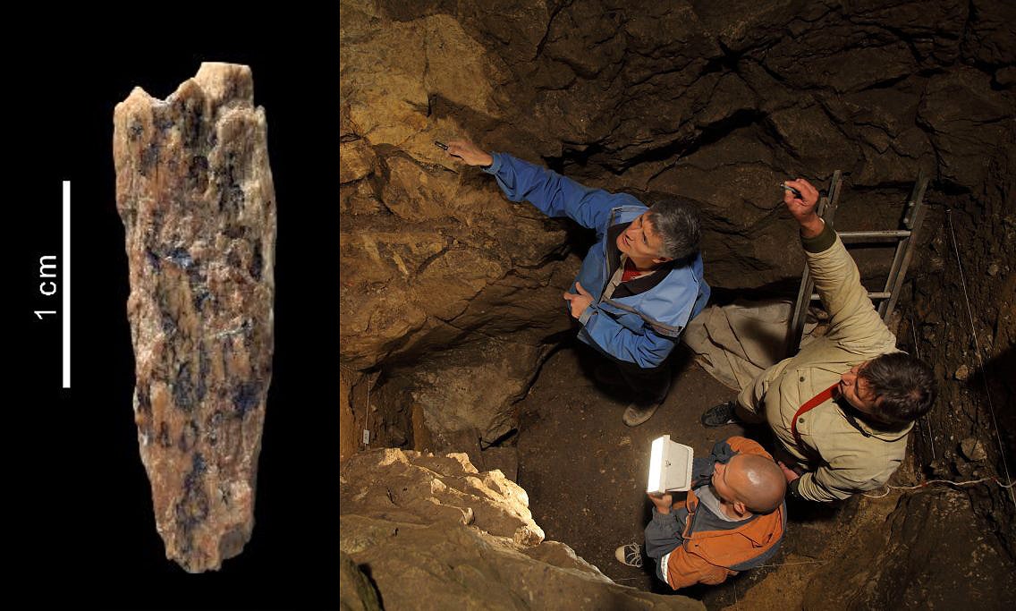 La Brújula de la Ciencia: El hallazgo de una mujer de hace más de 50.000 años con padres de dos especies diferentes episode artwork