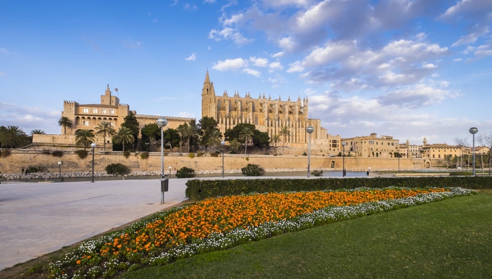 La conductora que atropelló a una mujer frente a la catedral de Palma queda en libertad La conductora que atropelló a una mujer frente a la catedral de Palma queda en libertad