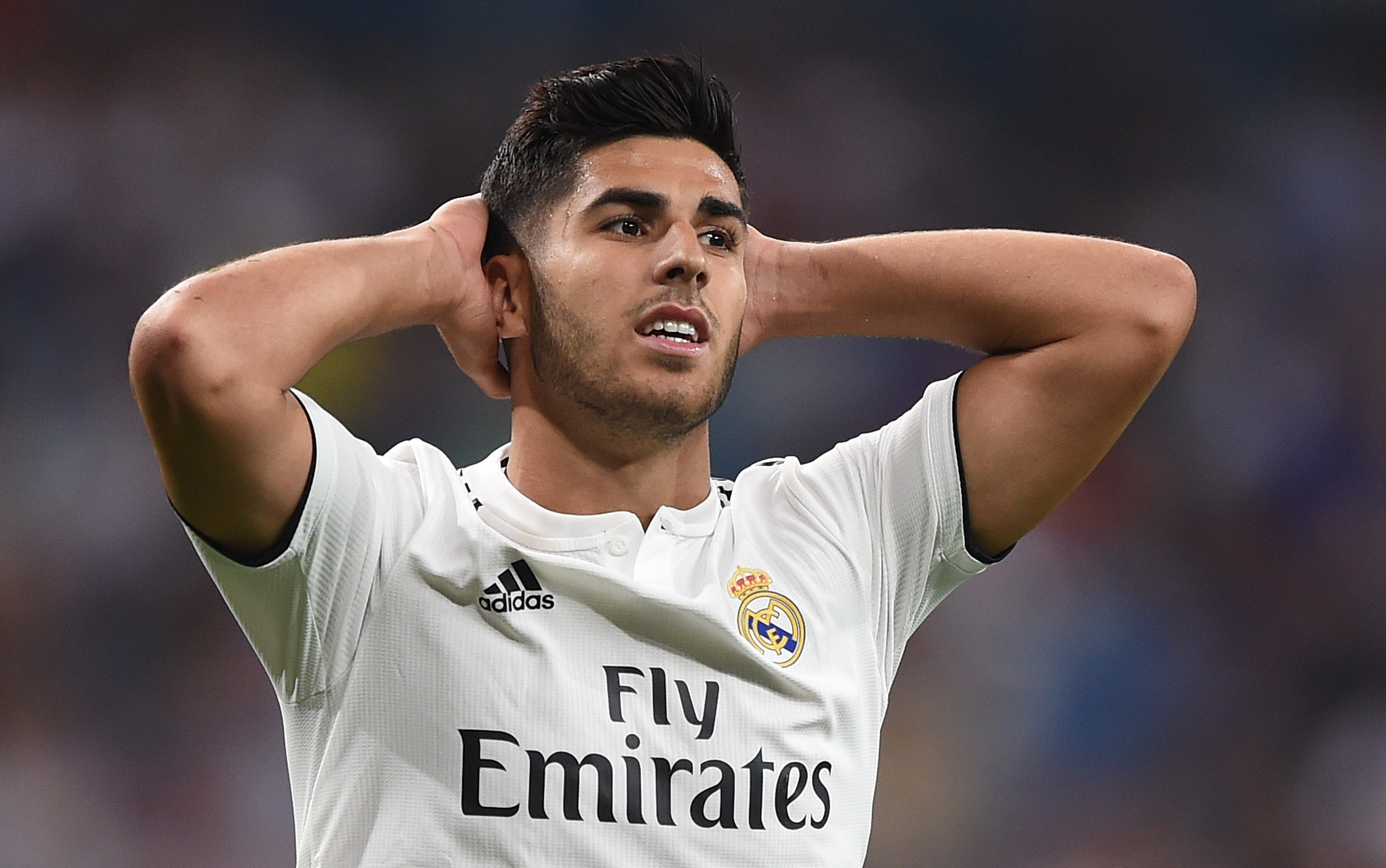 Asensio: "La Juventus seguro que es una gran familia pero nosotros también" Asensio: "La Juventus seguro que es una gran familia pero nosotros también"