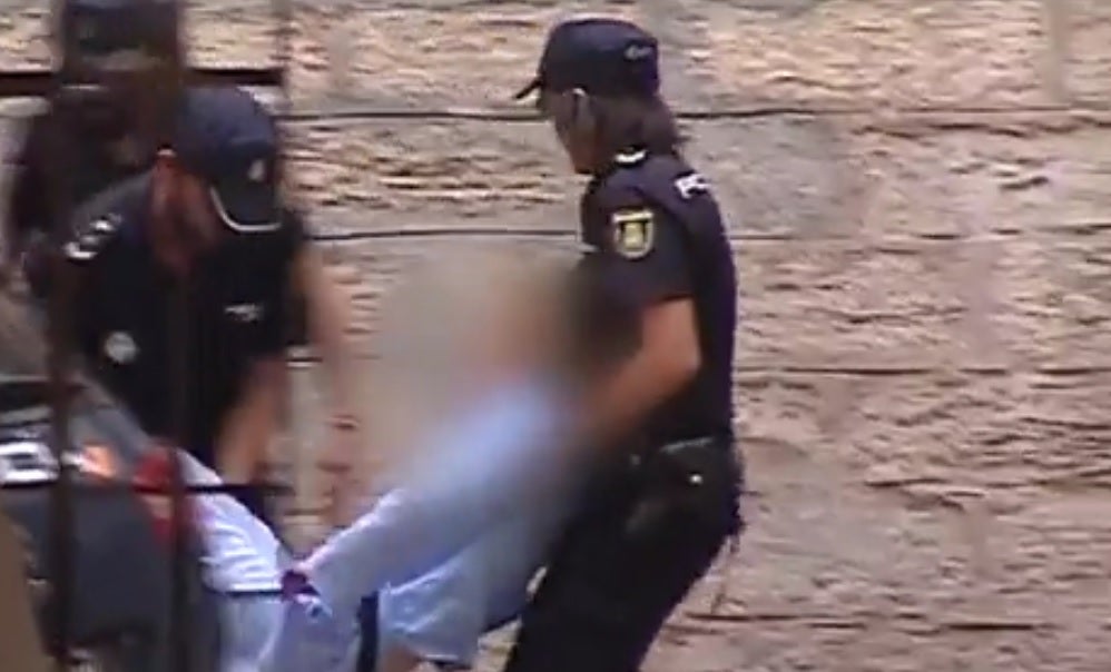 Territorio Negro: La viuda negra de Alicante Territorio Negro: La viuda negra de Alicante