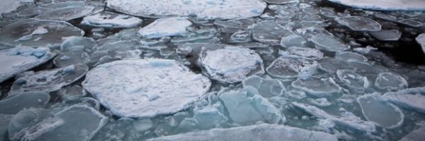 Alertan de que las temperaturas en el Ártico están subiendo al doble de veolidad que en el resto del planeta Alertan de que las temperaturas en el Ártico están subiendo al doble de veolidad que en el resto del planeta