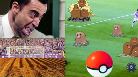 Memes campo Zorrilla