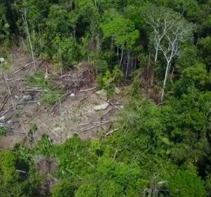 Gracias a un dron se ha podido captar imágenes de una tribu indígena en el Amazonas Gracias a un dron se ha podido captar imágenes de una tribu indígena en el Amazonas