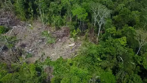 Gracias a un dron se ha podido captar imágenes de una tribu indígena en el Amazonas Gracias a un dron se ha podido captar imágenes de una tribu indígena en el Amazonas