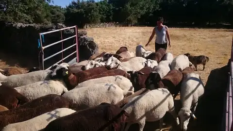 Pueblos que no se dejan morir Historias de cambio