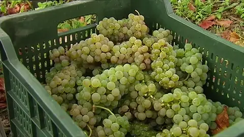 Imagen de archivo Imagen de archivo