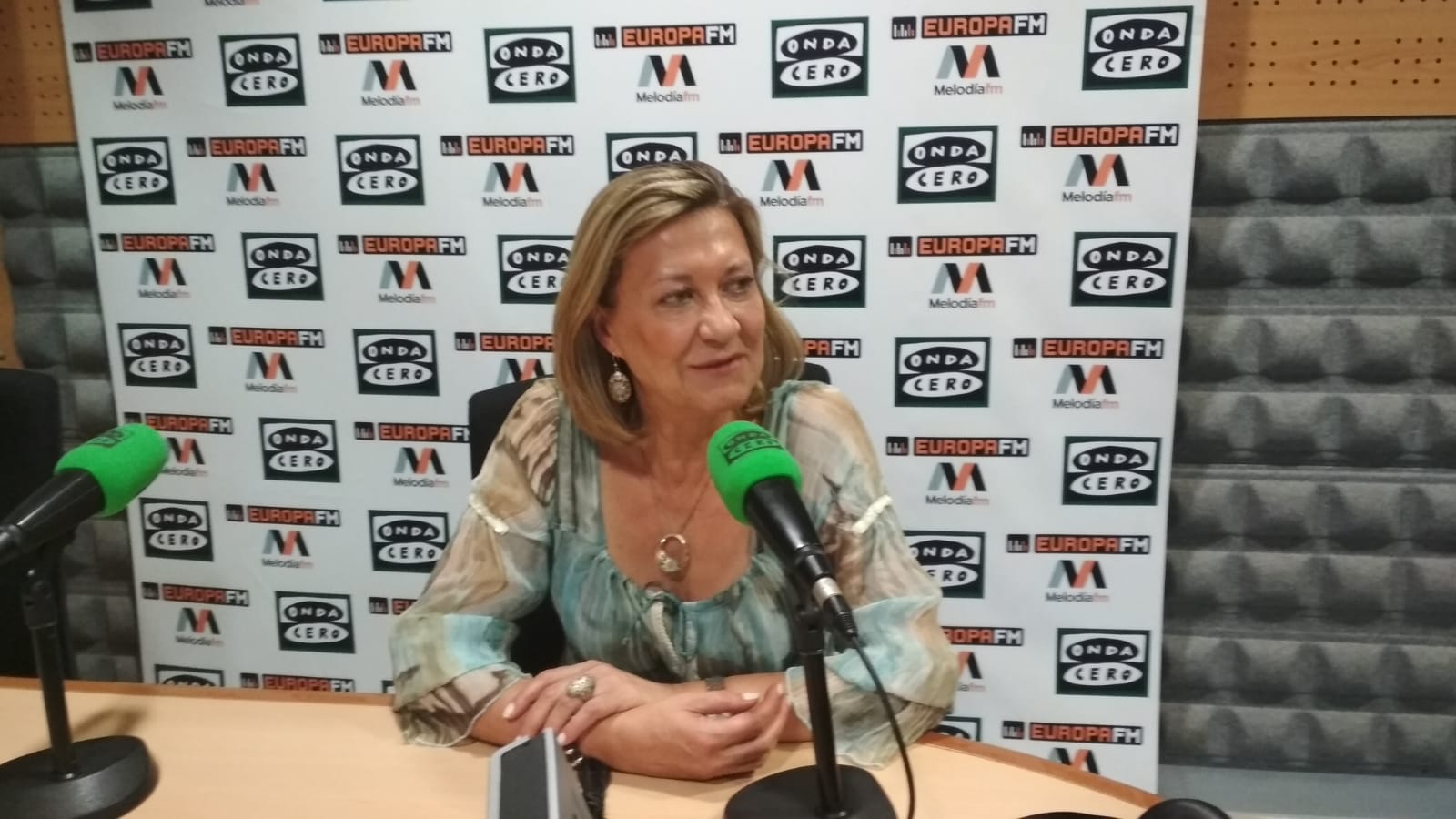 Del Olmo plantea boicotear a Vestas en Castilla y León Del Olmo plantea boicotear a Vestas en Castilla y León