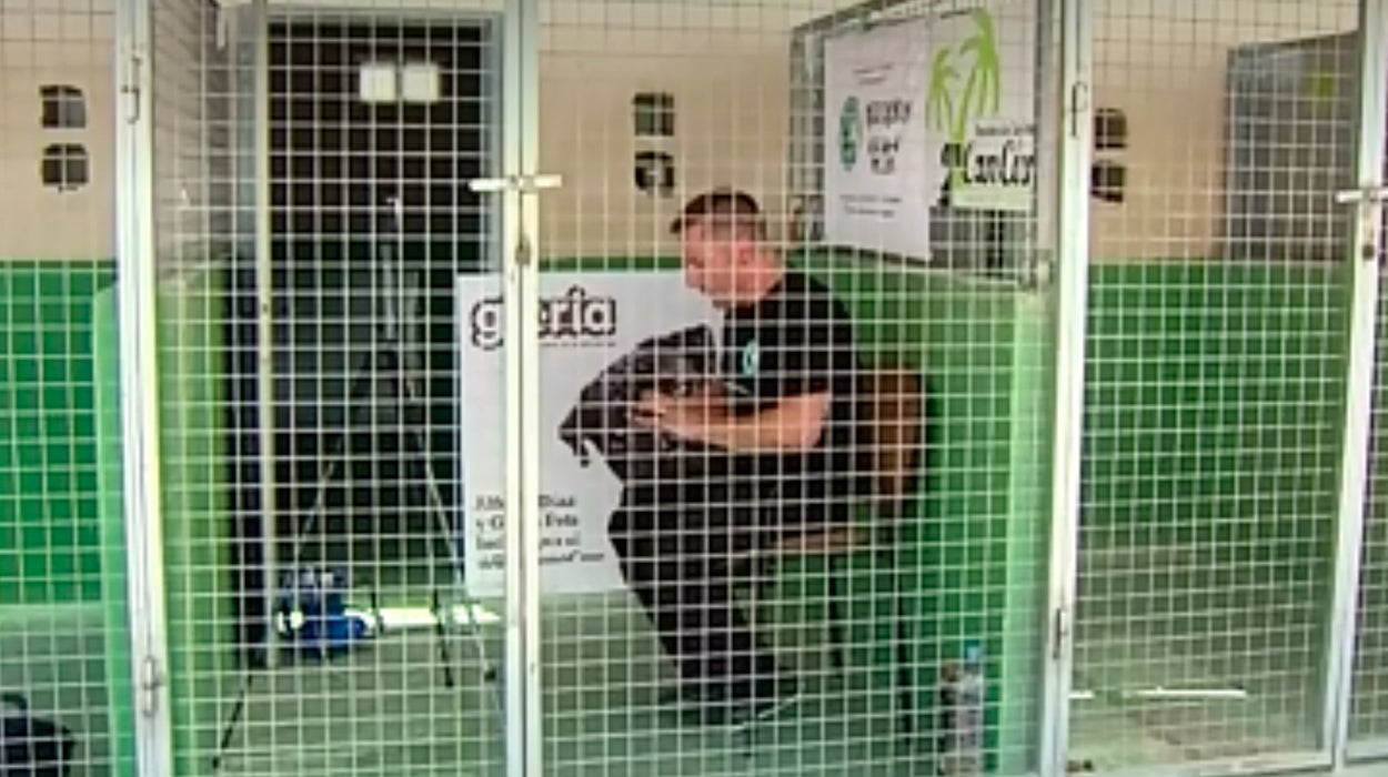 Un cántabro se encierra en una jaula para vivir como un perro para concienciar sobre el abandono animal Un cántabro se encierra en una jaula para vivir como un perro para concienciar sobre el abandono animal