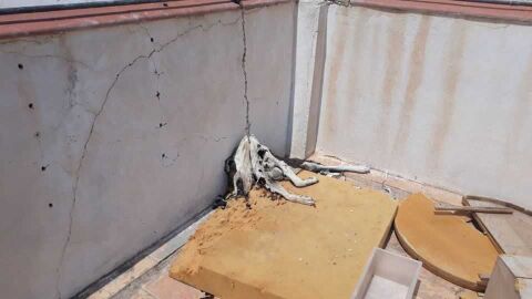 Perro encontrado muerto atado en la azotea de un edificio de Elche