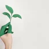El CPIFP San Blas será centro de referencia nacional en respeto al medioambiente y bioeconomía El CPIFP San Blas será centro de referencia nacional en respeto al medioambiente y bioeconomía