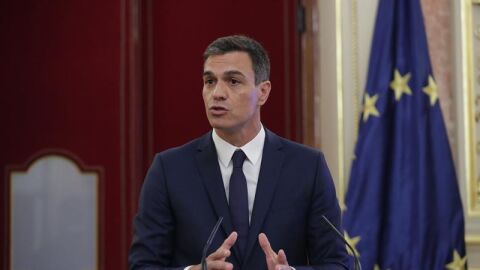 Pedro S&aacute;nchez, durante su discurso en el Congreso