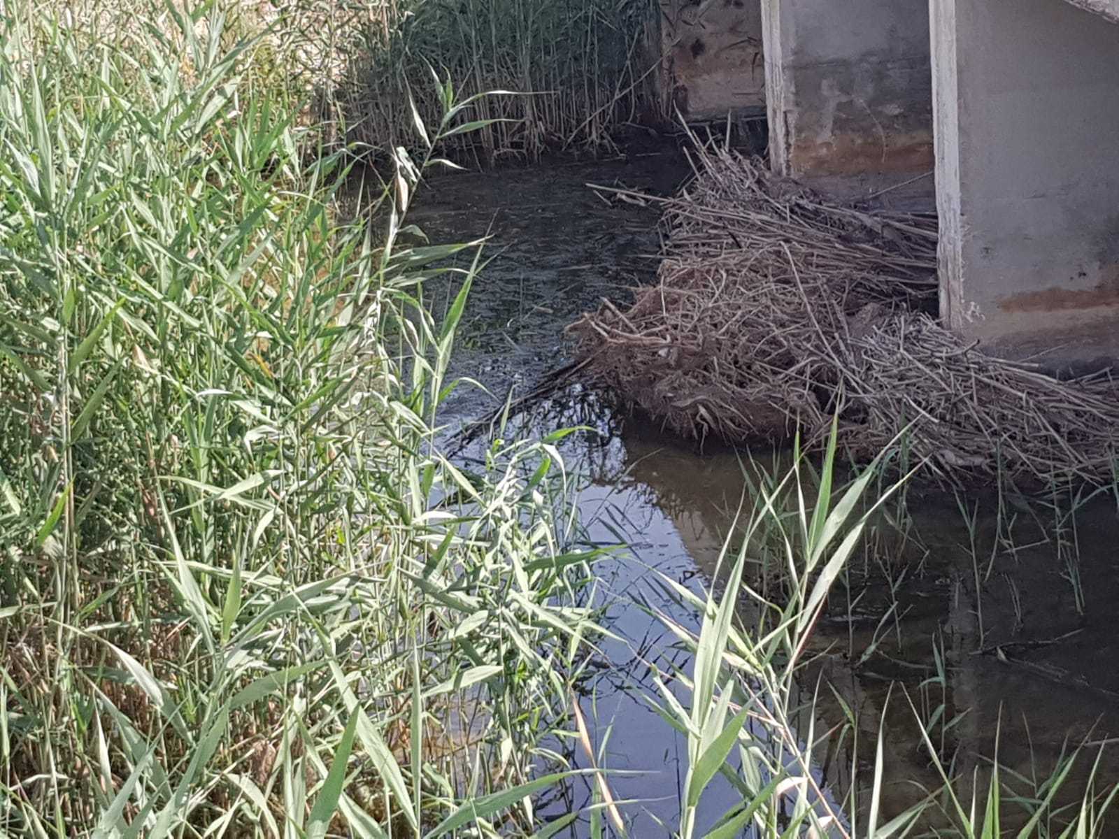 A la espera de posibles lluvias intensas el PP de Elche pide elementos de contención en barrancos y el ayuntamiento activa los protocolos de emergencia A la espera de posibles lluvias intensas el PP de Elche pide elementos de contención en barrancos y el ayuntamiento activa los protocolos de emergencia