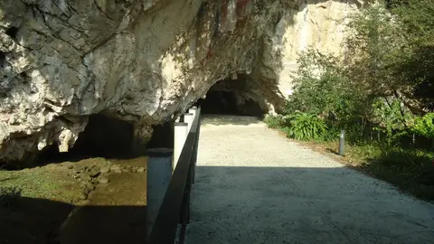 Cueva de Tito Bustillo Cueva de Tito Bustillo