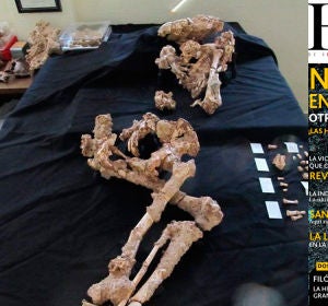 Revista Historia de Iberia Vieja: Paloma, la neandertal que vivió hace 150.000 años Revista Historia de Iberia Vieja: Paloma, la neandertal que vivió hace 150.000 años
