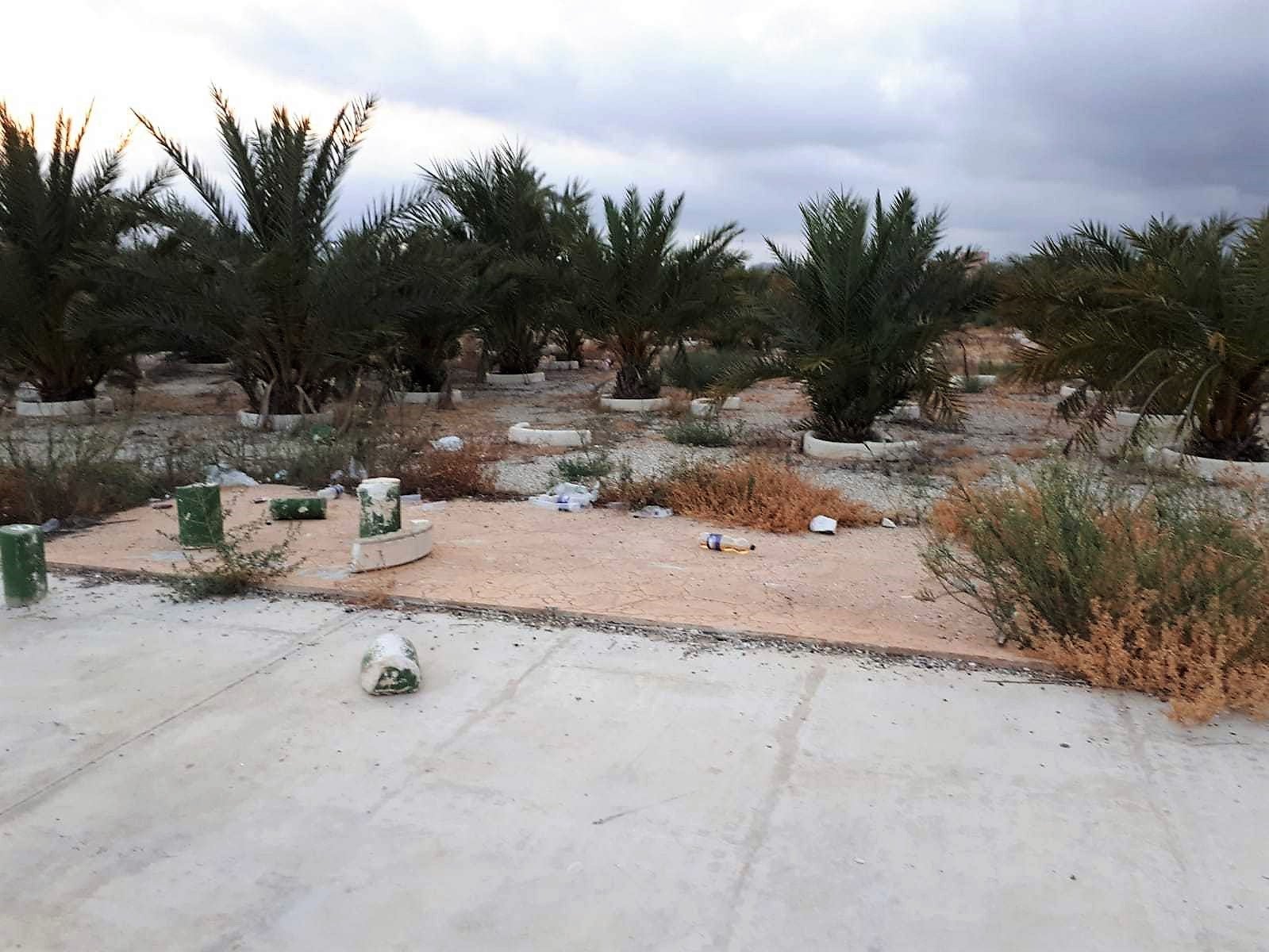 El PP acusa al tripartito de Elche de “abandonar a su suerte” los parques de palmeras dedicados a los niños nacidos en la ciudad El PP acusa al tripartito de Elche de “abandonar a su suerte” los parques de palmeras dedicados a los niños nacidos en la ciudad