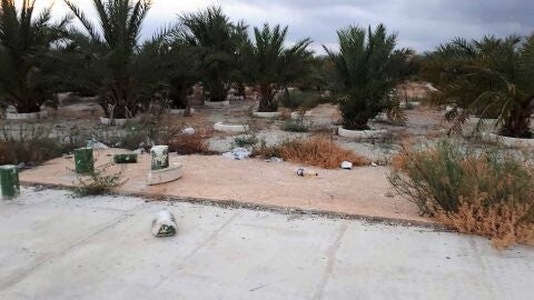 Estado del Parque de Palmeras de las Ni&ntilde;as y los Ni&ntilde;os de Elche
