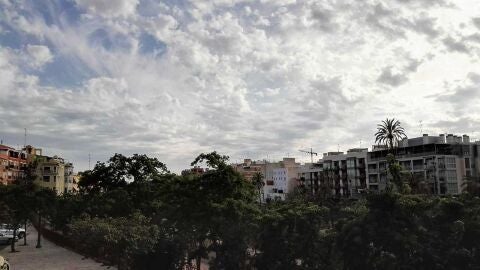 Elche
