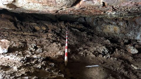 Restos encontrados en el Castillejo del Bonete