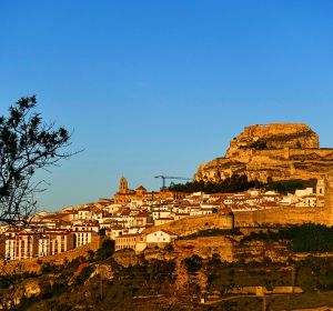 Morella Morella
